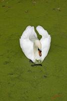 Cjp_2009_10_29_153520 (2).jpg